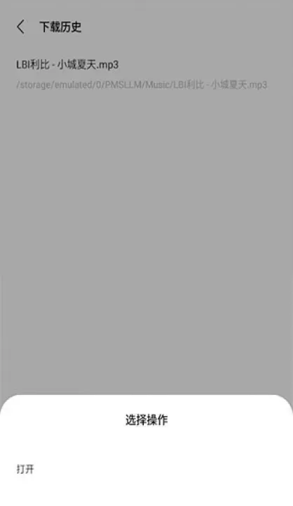 歌词适配免费版_https://m.78xz.com_音乐软件_第5张