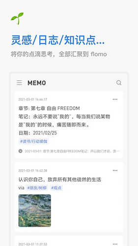 浮墨笔记