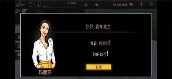 赛车飞驰人生_https://78xz.com_体育竞技_第1张
