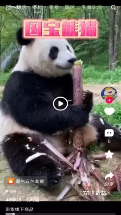 速影_https://78xz.com_音影播放_第1张